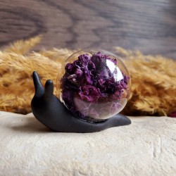 Prunelle - Escargot Lilas