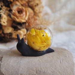 SYNA, escargot en résine et fleur séchée d'Immortelle jaune.