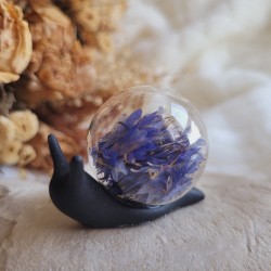 GABIN escargot en résine et sphère de verre fleurs séchées de Bleuets