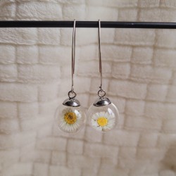 Boucles d'oreilles sphère en verre et fleurs séchées de Pâquerette.