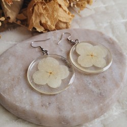 Boucles d'oreilles cercles fleurs séchées d'Hortensia blanc.