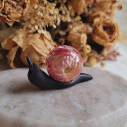 Férielle, figurine escargot en résine et fleur d'immortelle