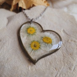 Pendentif coeur fleurs séchées de Pâquerette.