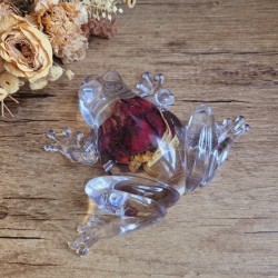 Kaly, grenouille en résine et fleur séchée de Bouton de Rose.