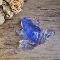 Zeno, grenouille en résine et fleurs séchées de Bleuet.