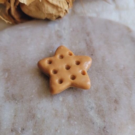 Magnet biscuit étoile.