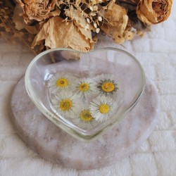 Coupelle coeur en résine et fleurs séchées de Pâquerette