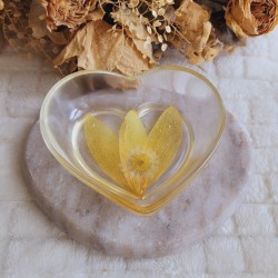 Coupelle coeur en résine et fleur séchée de Tournesol et Pâquerette.