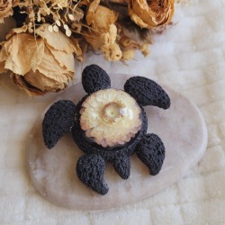 Laili, tortue en résine et fleur séchée d'Immortelle.