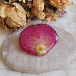 Broche pétale de Rose cristallisée et fleur séchée de Pâquerette.