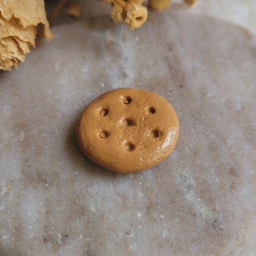 Magnet biscuit sablé rond en résine.