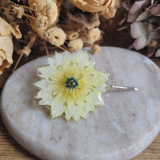 Épingle à cheveux fleur séchée de Nigelle.