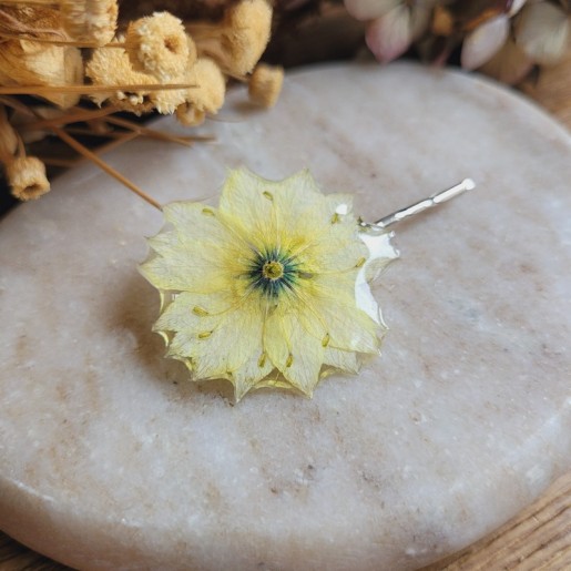 Épingle à cheveux fleur séchée de Nigelle.