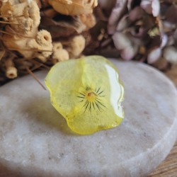 Pin's fleur séchée de Pensée cristallisée.