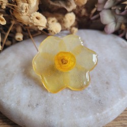 Pin's fleur séchée de Jonquille cristallisée.