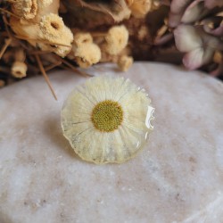 Pin's fleur séchée de Pâquerette.