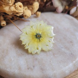 Pin's fleur séchée de Nigelle cristallisée.