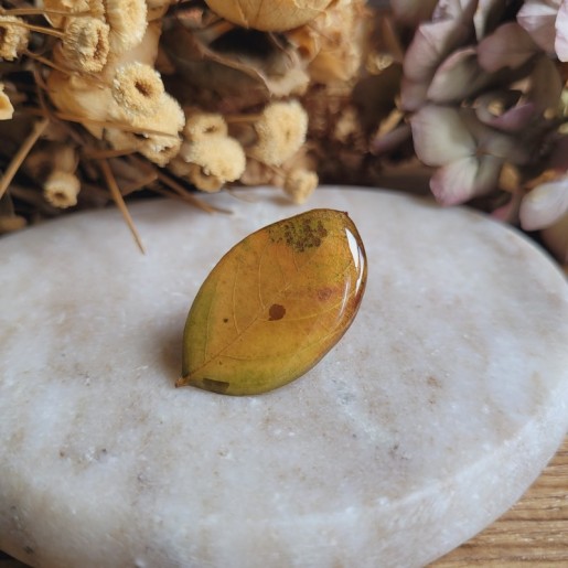 Pin's feuille séchée de Lilas des Indes cristallisée.