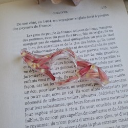 Bague de lecture en résine et fleurs séchées d'Immortelle rose.