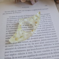 Bague de lecture en résine et fleurs séchées d'Immortelle blanche.