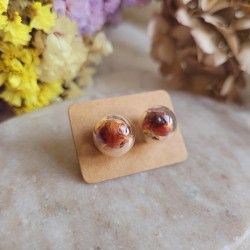 Puces d'oreilles sphère en verre avec fleurs séchées d'Immortelle orange