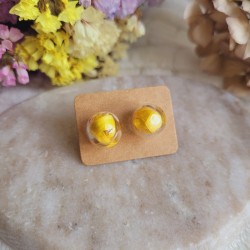 Puces d'oreilles sphère en verre avec fleurs séchées d'Immortelle jaune