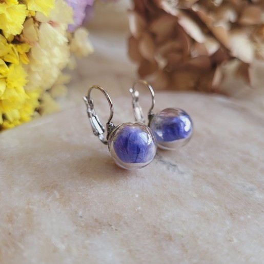 Boucles d'oreilles dormeuses, sphère en verre avec fleurs séchées de Bleuet.