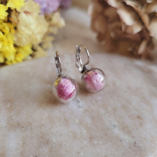 Boucles d'oreilles dormeuses sphère en verre avec fleurs d'Immortelle rose.