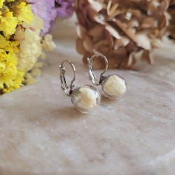 Boucles d'oreilles dormeuses sphère en verre avec fleurs de Statice blanc.