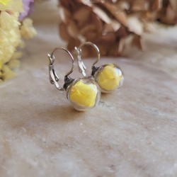 Boucles d'oreilles dormeuses sphère en verre avec fleurs de Statices jaunes.