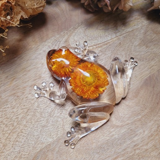 JOY - Grenouille en résine avec inclusion de fleurs séchées d'Immortelle orange.