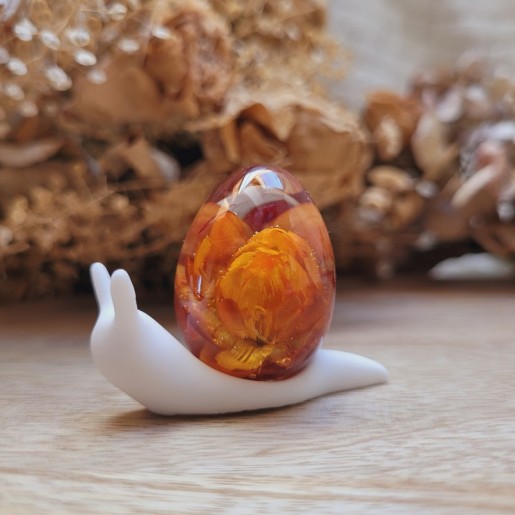 Abigaëlle, figurine escargot en résine, oeuf en résine et fleurs séchées d'Immortelle