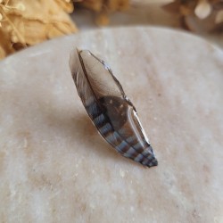 Pin's plume naturelle de Geai