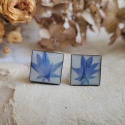 Boutons de manchette fleurs séchées de Bleuet.