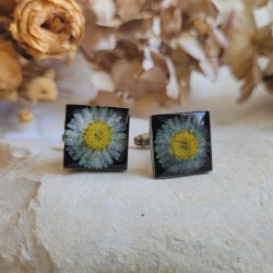 Boutons de manchette fleurs séchées de Pâquerette.