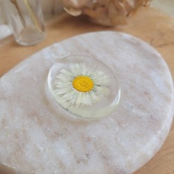 Worry Stones / Anti-Stress ovale en résine et fleurs séchées de Pâquerette.