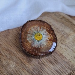 Broche en bois recyclé et fleur séchées de Pâquerette.