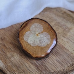 Broche en bois recyclé et fleur séchées d'Hortensia blanc.