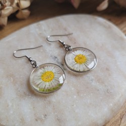 Boucles d'oreilles rondes fleurs séchées de Pâquerette.