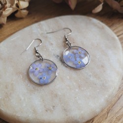 Boucles d'oreilles rondes fleurs séchées de Myosotis.