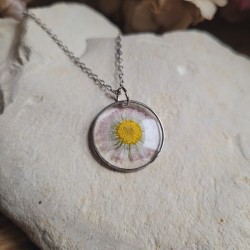 Pendentif cercle fleurs séchées de Pâquerette.