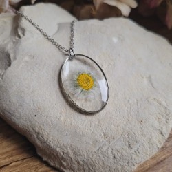 Pendentif ovale fleurs séchées de Pâquerette.