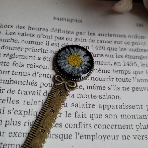 Marque-page règle, avec fleur séchée de Pâquerette.
