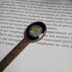 Marque-page règle, avec fleur séchée de Pâquerette.