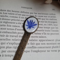 Marque-page règle, avec fleur séchée de Bleuet.