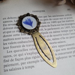 Marque-page trombone en laiton, avec fleur séchée de Bleuet.