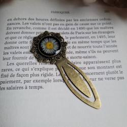 Marque-page trombone en laiton, avec fleur séchée de Pâquerette.