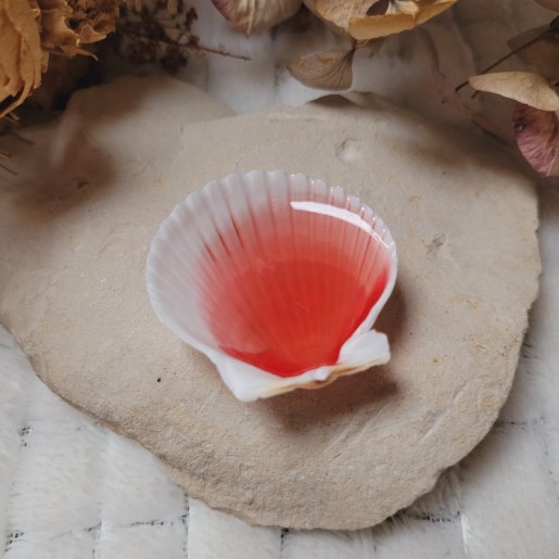 Magnet faux Roudoudou à la fraise en résine et coquillage.