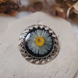 Broche vintage avec fleur séchée de Pâquerette.