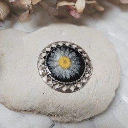 Broche vintage avec fleur séchée de Pâquerette.